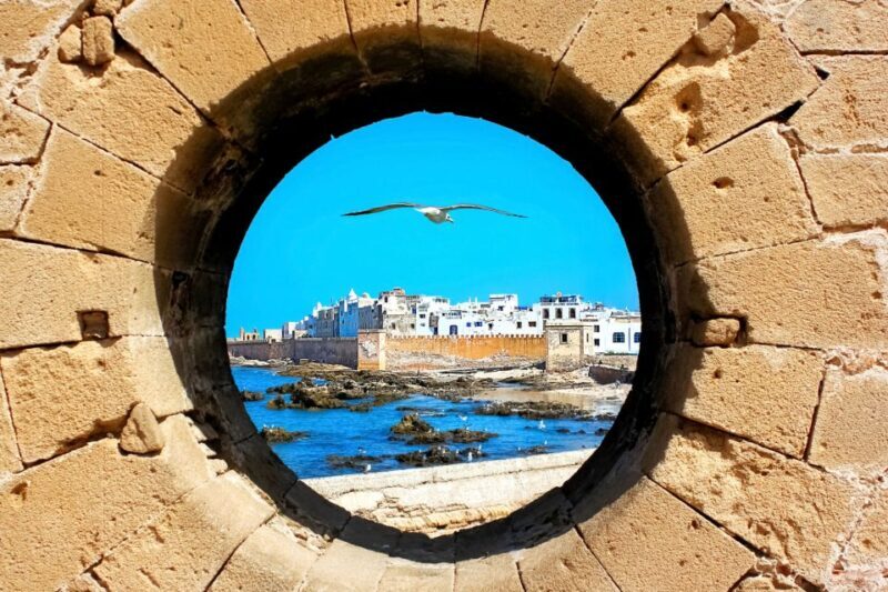 From Agadir or Taghazout: Essaouira Full-Day Trip with Guide - Transportation & Logistics