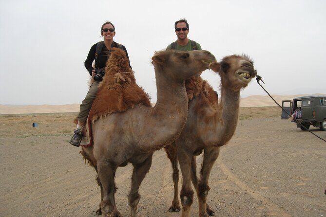 From Agadir or Taghazout or Port 2 Hours Camel Ride - Detailed Review of the Camel Ride Experience