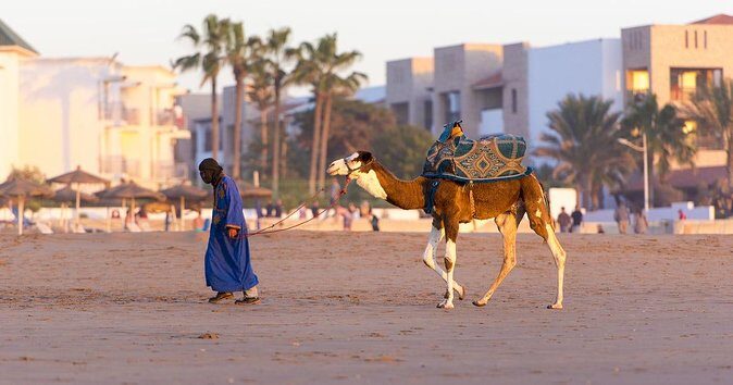 From Agadir or Taghazout or Port 2 Hours Camel Ride - Who Will Enjoy This Tour?