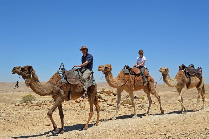 From Agadir or Taghazout or Port 2 Hours Camel Ride - The Sum Up