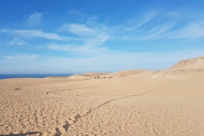 From Agadir or Taghazout or Port Desert Sahara Dunes Trip With Lunch - In The Sum Up
