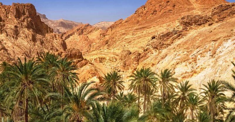 From Agadir or Taghazout: Paradise Valley Natural Atlas Tour - From Agadir or Taghazout: Paradise Valley Natural Atlas Tour — An Honest Review
