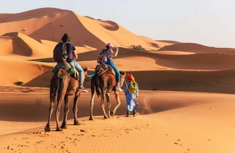From Agadir: Private 3-Day Merzouga Desert Tour To Marrakech - Key Points