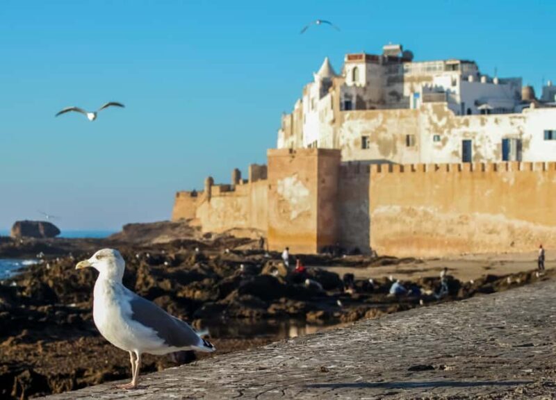 From Agadir : Private 3-Days Tour To Essaouira & Marrakech - Exploring the Itinerary in Depth