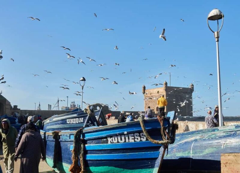 From Agadir : Private 3-Days Tour To Essaouira & Marrakech - Who Is This Tour Best For?