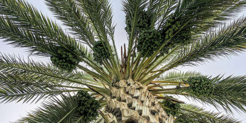 From Agadir: Private 4-Days To Marrakech Via Merzouga Desert - A Practical Overview of the 4-Day Journey