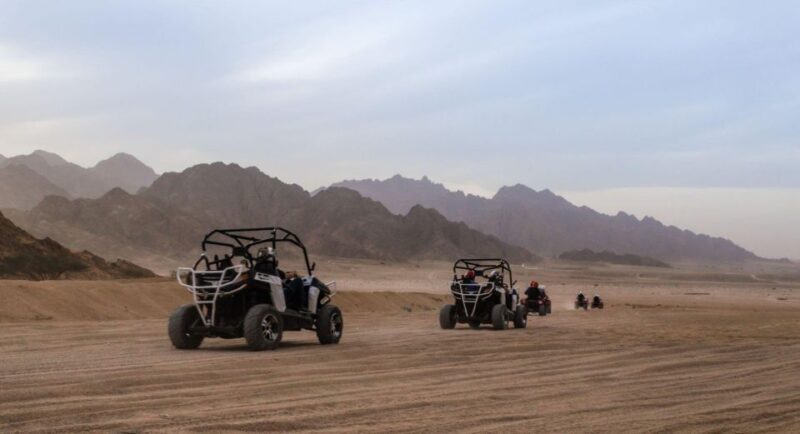 From Agadir: Sahara Desert Buggy Tour with Snack & Transfer - Key Points