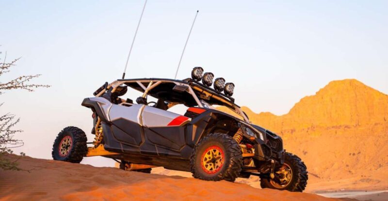 From Agadir: Sahara Desert Buggy Tour with Snack & Transfer - Setting the Scene: What to Expect from the Tour