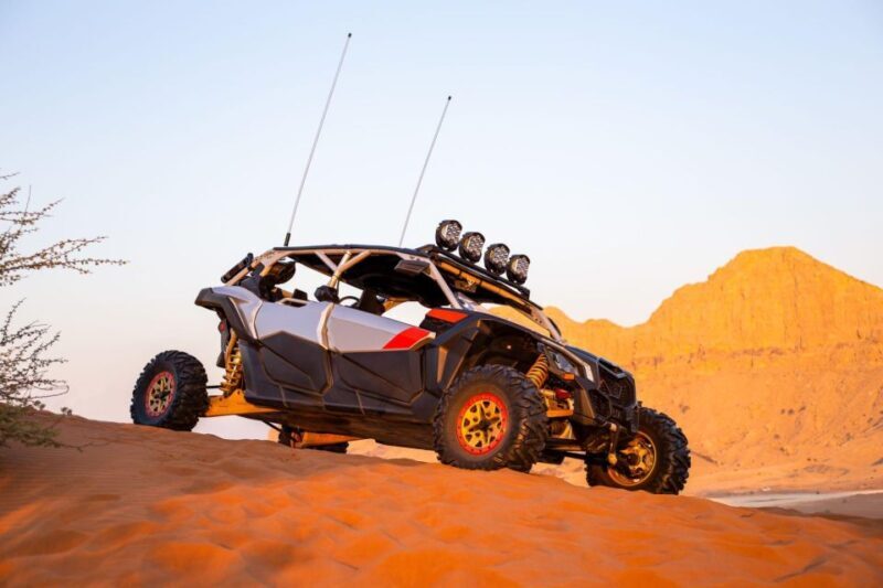From Agadir: Sahara Desert Buggy Tour with Snack & Transfer - The Practicalities: Timing, Price, and Overall Value