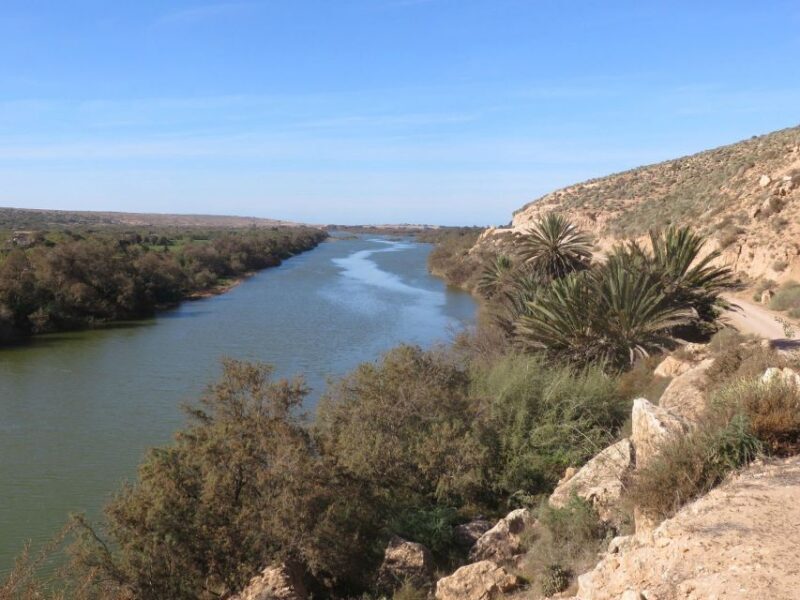 From Agadir: Sous Massa National Park Desert Safari w/Lunch - An Authentic Moroccan Nature and Culture Experience