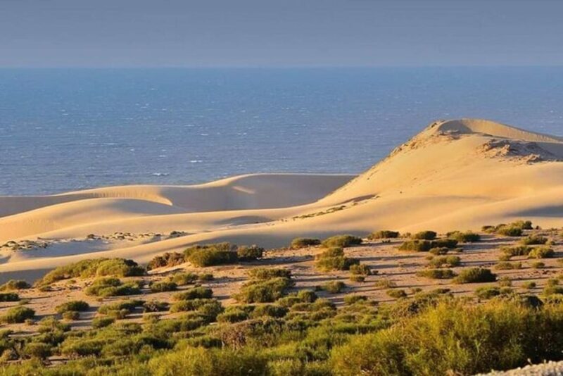 From Agadir: Souss-Massa National Park Tour with Lunch - The Moroccan Lunch Experience  