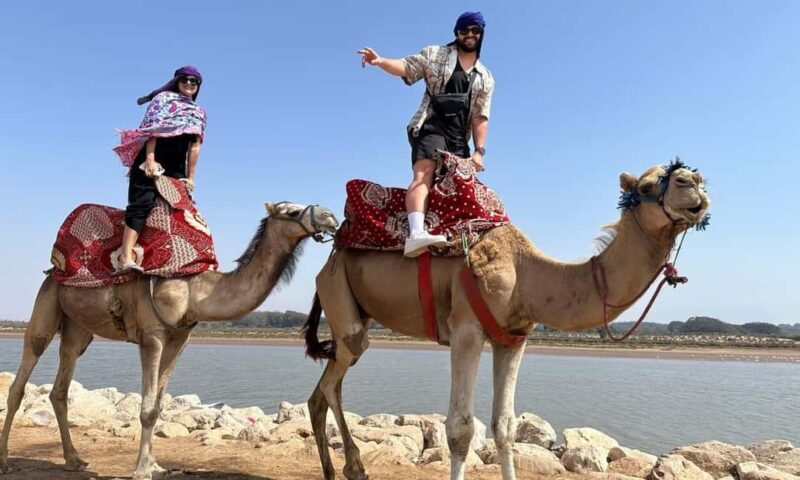 From Agadir: Souss River Camel Ride - Key Points