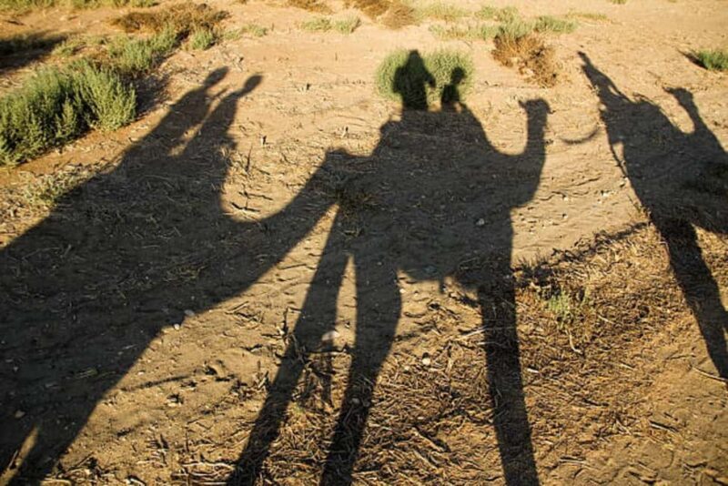 From Agadir: Sunset Camel Ride with BBQ Dinner and Transfers - What to Expect from This Sunset Camel Ride Experience