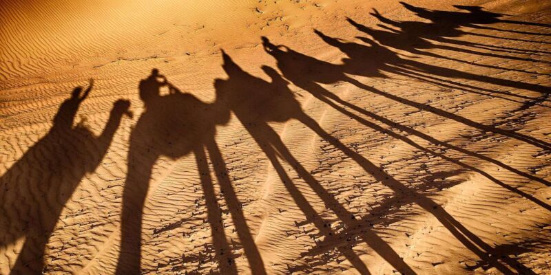 From Agadir: Sunset Camel Ride with BBQ Dinner and Transfers - Final Thoughts
