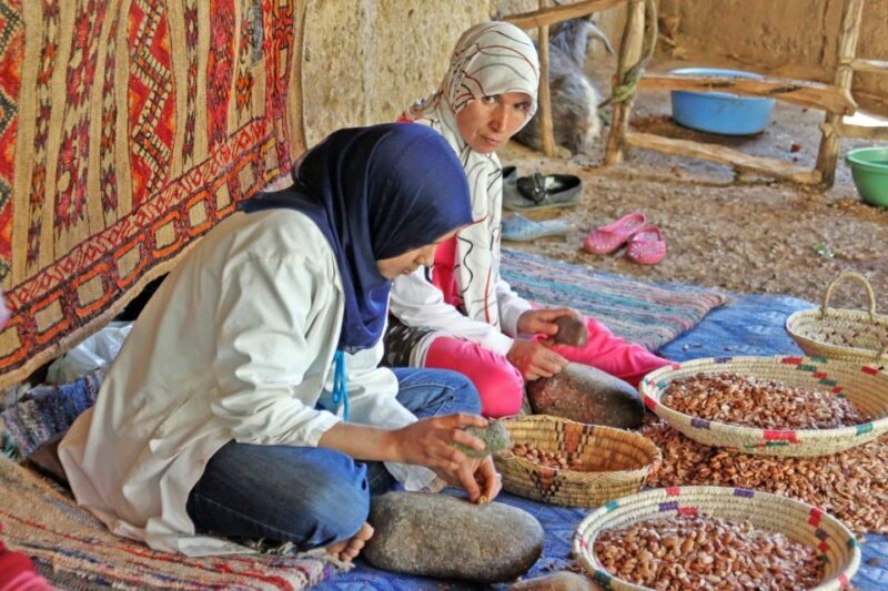 From Agadir: Tafraoute the Anti Atlas Day trip With Lunch - Key Points