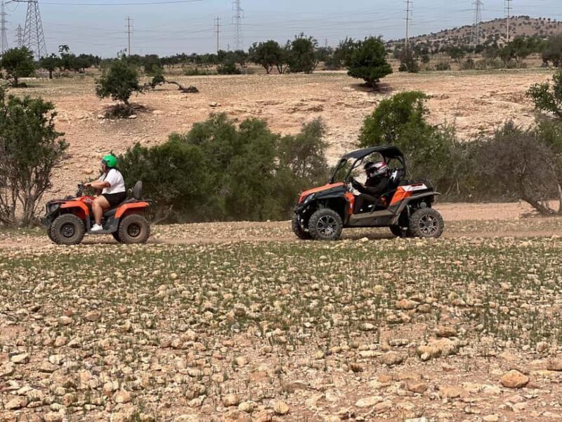 From Agadir/Taghazout: Buggy Safari Adventure & Moroccan Tea - Who Might Want to Skip It?