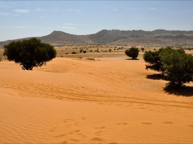 From Agadir/Taghazout: Massa Desert and Visit with Lunch - FAQ