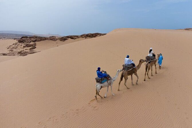 From Agadir/Taghazout: Sahara Sand Dunes  Morning or Sunset Tour - Final Thoughts