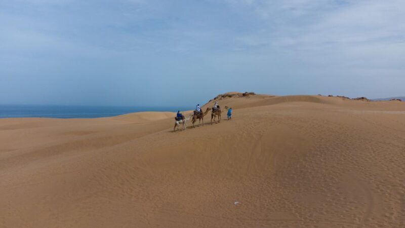 From Agadir/Taghazout: Sahara Sand Dunes with Transfer - The Value of This Experience