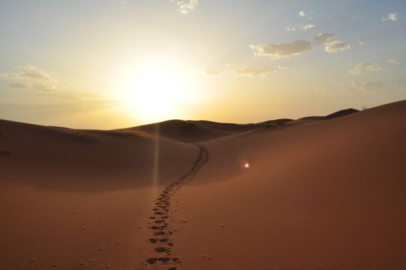 From Agadir/Taghazout: Sahara Sand Dunes with Transfer - Who Would Love This Tour?