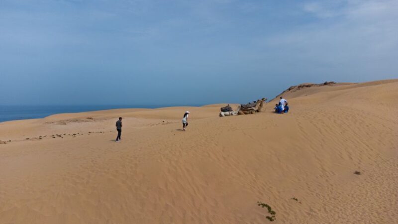 From Agadir/Taghazout: Sahara Sand Dunes with Transfer - Final Thoughts