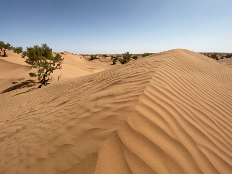 From Agadir/Taghazout: Sahara Sand Dunes with Transfer - Key Points