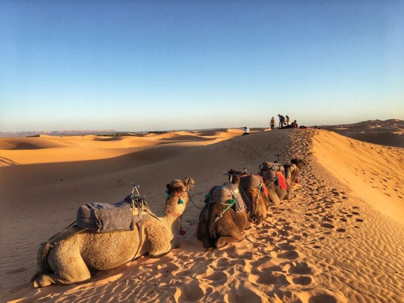 From Agadir/Taghazout: Sahara Sand Dunes with Transfer - FAQ