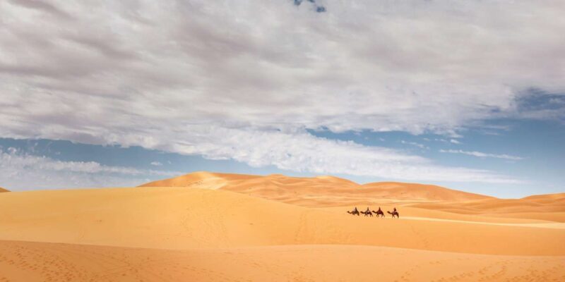 From Agadir/Taghazout: Sahara Sand Dunes with Transfer - The Value for Money