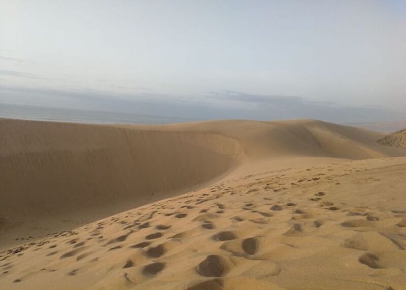 From Agadir/Taghazout: Sahara Sand Dunes with Transfer - Exploring the Sahara Sand Dunes from Agadir: A Practical & Authentic Adventure