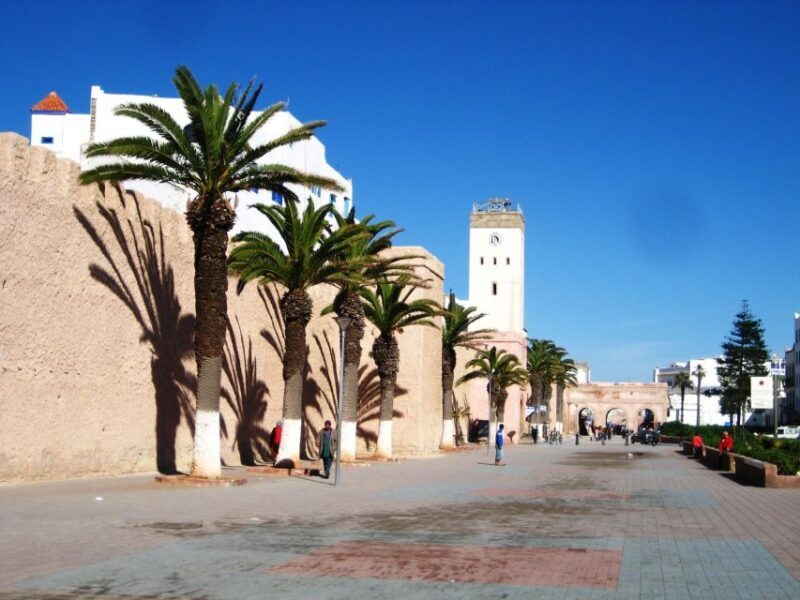 From Agadir Taghazoute: Essaouira Day Trip with Expert Guide - The Full Experience: An In-Depth Look at the Essaouira Day Trip