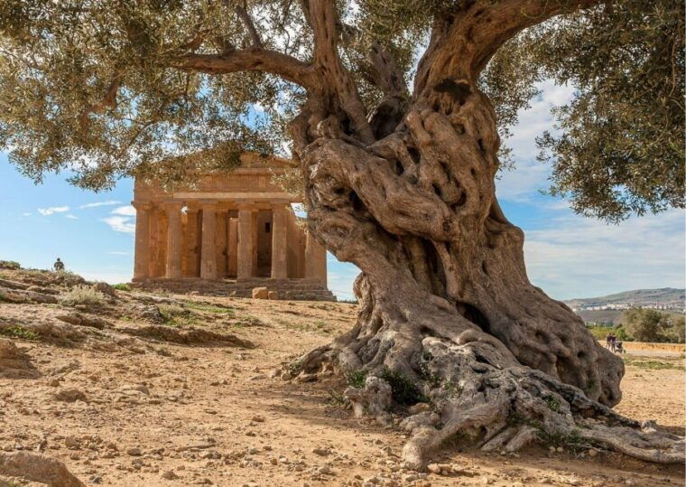 from-agrigento-to-siracusa-valley-of-temples-roman-villa
