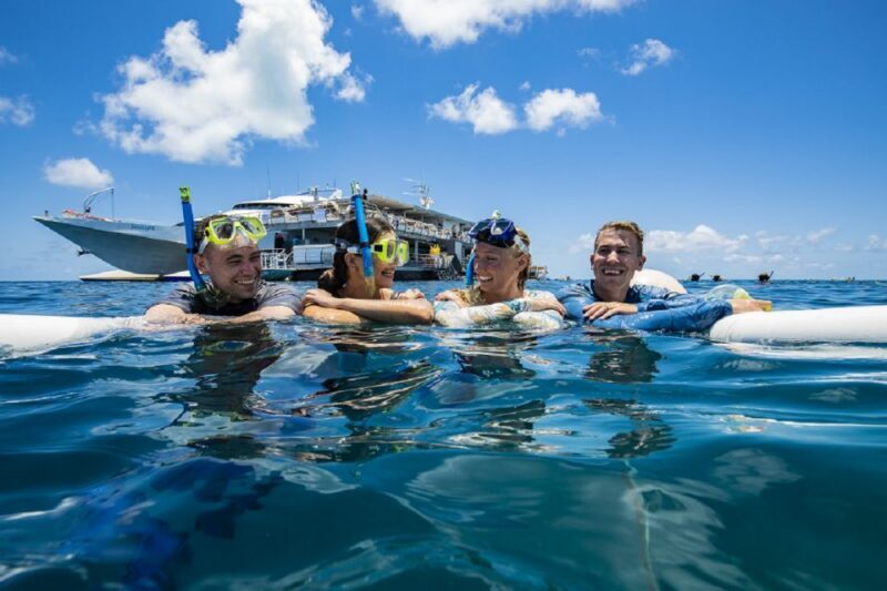 From Airlie Beach: Great Barrier Reef Pontoon Experience - From Airlie Beach: Great Barrier Reef Pontoon Experience — A Deep Dive into One of Australias Most Iconic Wonders