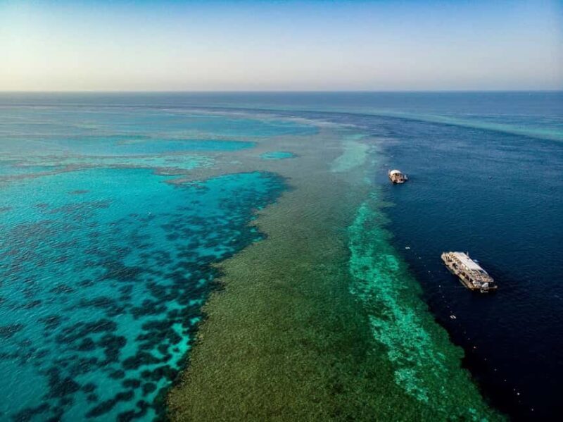 From Airlie Beach: Great Barrier Reef Pontoon Experience - Key Points
