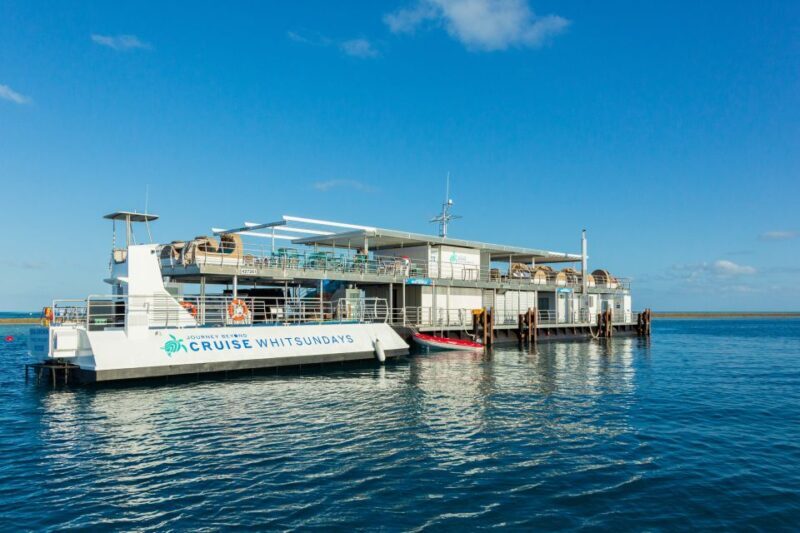 From Airlie Beach: Great Barrier Reef Pontoon Experience - The Value of This Reef Experience