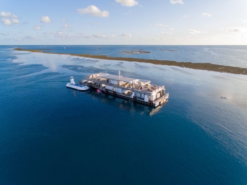 From Airlie Beach: Great Barrier Reef Pontoon Experience - FAQ: Your Questions About the Great Barrier Reef Pontoon Experience
