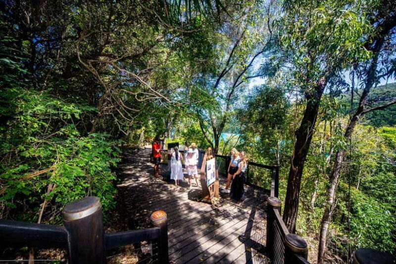 From Airlie Beach: Hook Island Cultural Tour, Sail & Snorkel - Final Thoughts