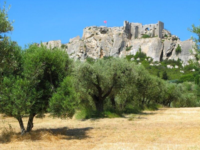 from-aix-arles-saint-remy-les-baux-provence-day-trip