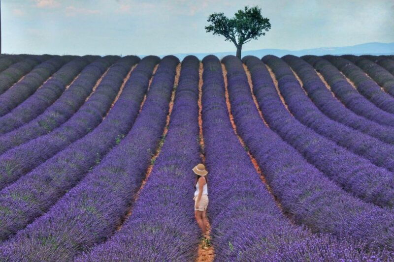 from-aix-day-trip-to-valensole-lavender-fields-in-provence
