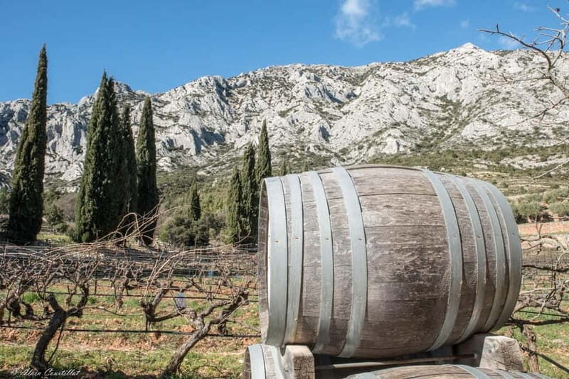 From Aix-en-Provence: 2-Hour Wine & Scenery Sidecar Tour - The Experience — What You Need to Know