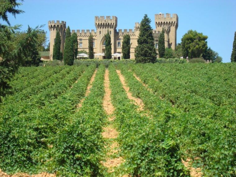 from-aix-en-provence-chateauneuf-du-pape-wineries-day-trip