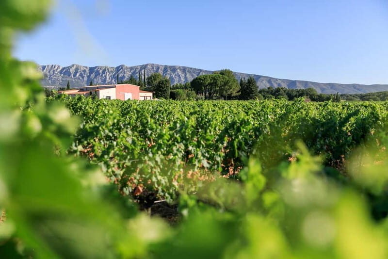 From Aix en Provence: Half-day Wine Tour in Provence - Exploring the Details: What You Can Expect