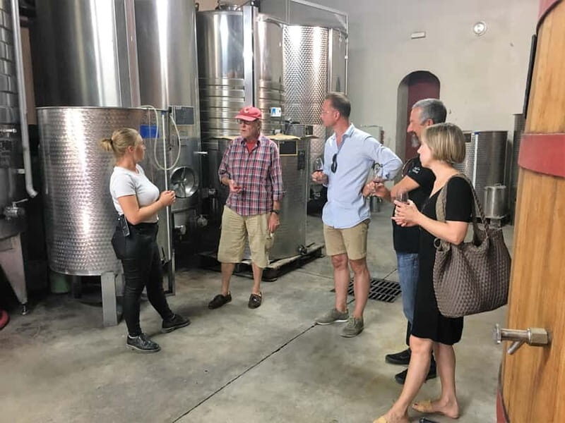 From Aix en Provence: Half-day Wine Tour in Provence - Who Will Love This Tour?