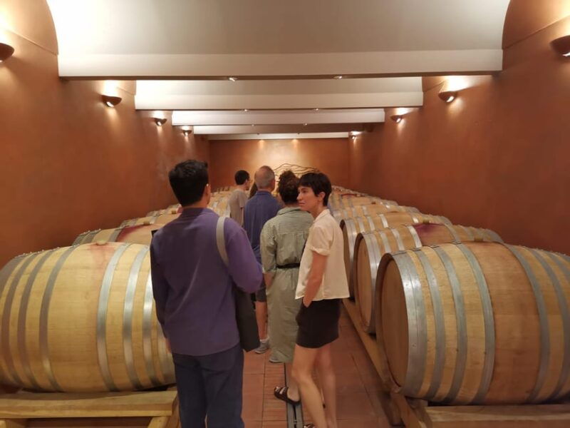 from-aix-en-provence-half-day-wine-tour-in-provence