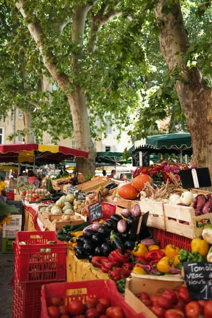 From Aix-en-Provence: Luberon Market & Olive Oil Mill - Key Points