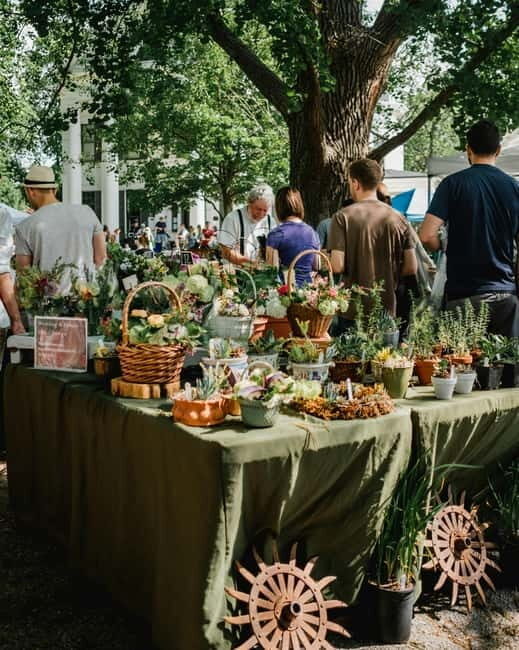From Aix-en-Provence: Luberon Market & Olive Oil Mill - Final Thoughts