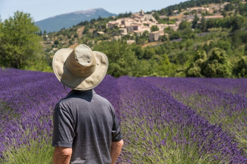 from-aix-en-provence-sault-lavender-gordes-full-day-tour