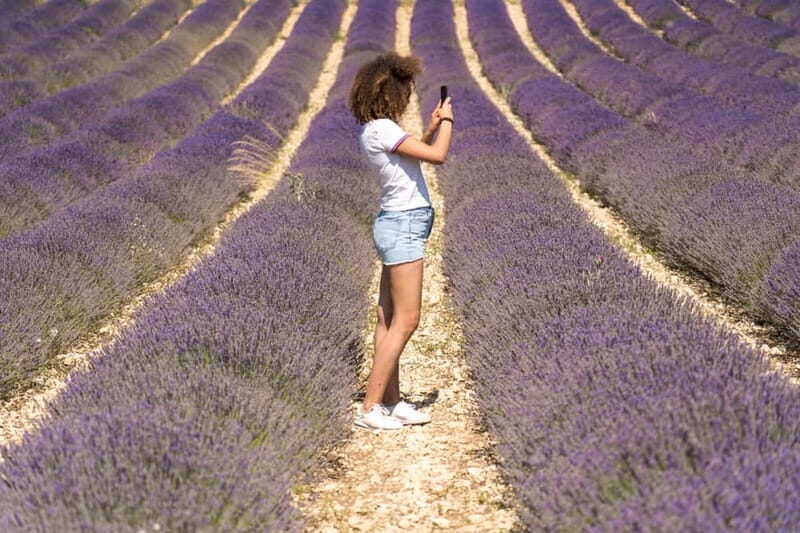 From Aix-en-Provence : Sunset Lavender Tour in Valensole - The Sum Up
