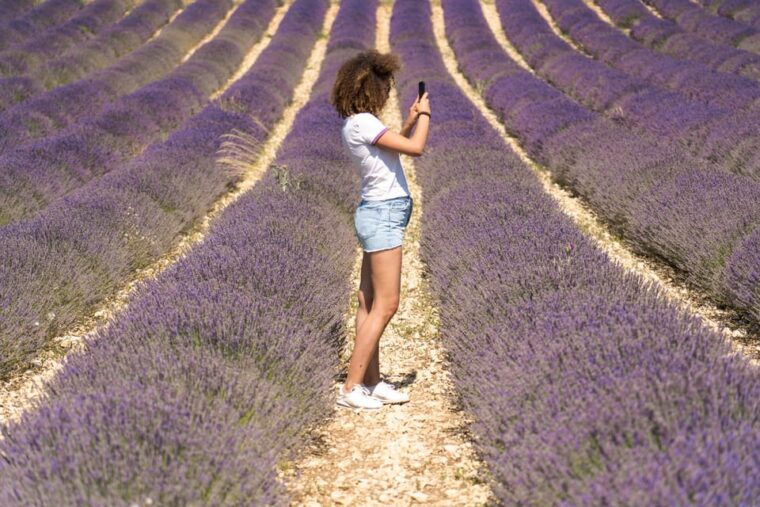 from-aix-en-provence-valensole-lavender-full-day-tour