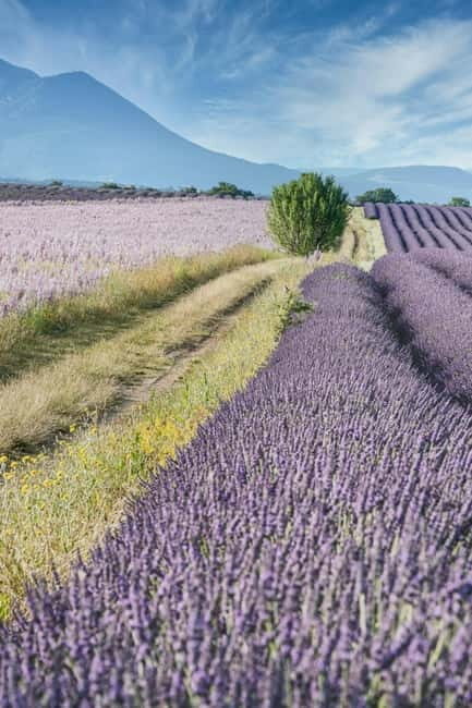 From Aix en Provence : Verdon, Moustiers & Occitane Factory - FAQ