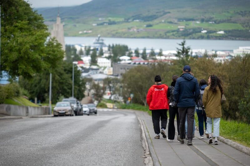 from-akureyri-port-city-walk-local-food